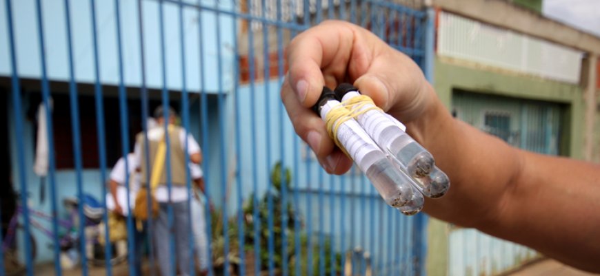 Ministério da Saúde, estados e municípios unem esforços para ações de enfrentamento da dengue