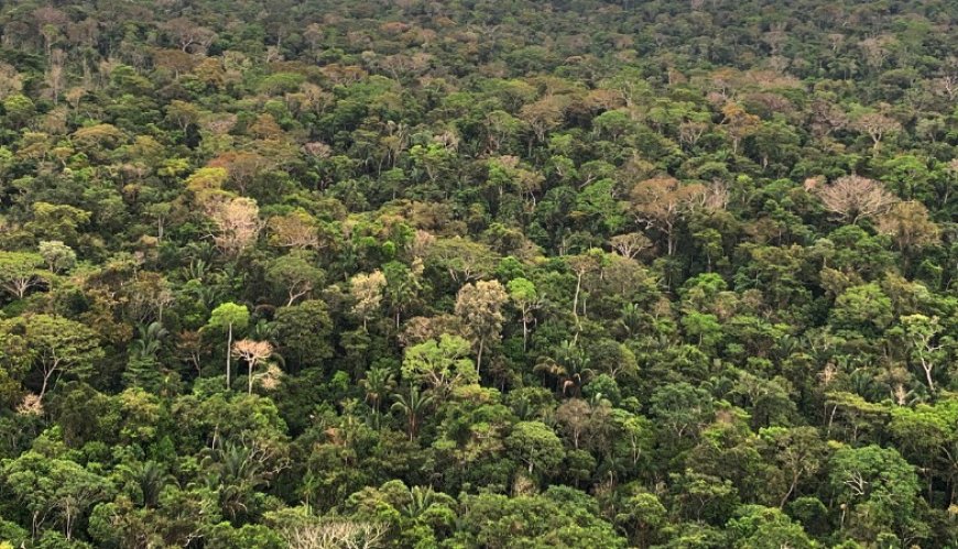 MPRO ingressa com Ação Civil Pública contra envolvido no desmatamento de reserva em Campo Novo de Rondônia