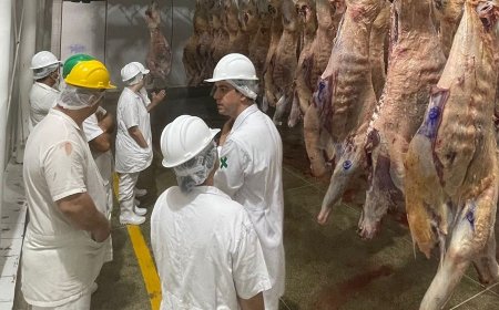 Ministério da Agricultura realiza auditoria na Idaron para a manutenção do Sistema Brasileiro de Inspeção