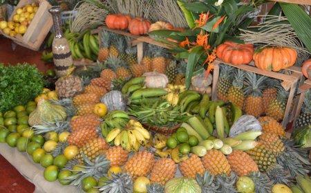 Programa Estadual de Aquisição de Alimentos do Governo de RO atende municípios do Estado