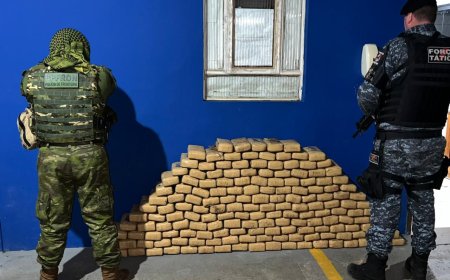 PM e PF realizam mais uma grande apreensão de drogas em Rondônia