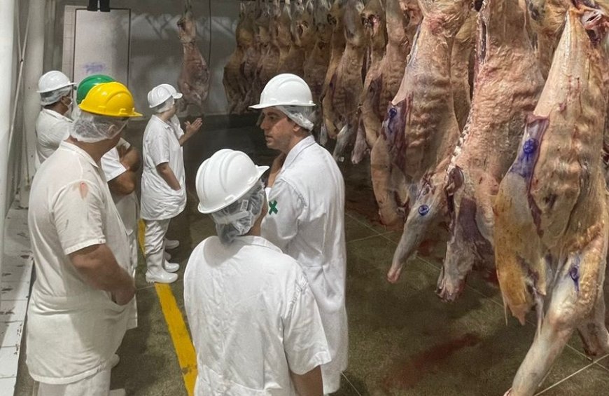 Ministério da Agricultura realiza auditoria na Idaron para a manutenção do Sistema Brasileiro de Inspeção