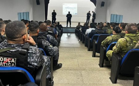 MPRO e forças de segurança deflagram operação na região da Ponta do Abunã