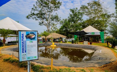 Programação da Rondônia Rural Show Internacional evidencia Inovação e Sustentabilidade