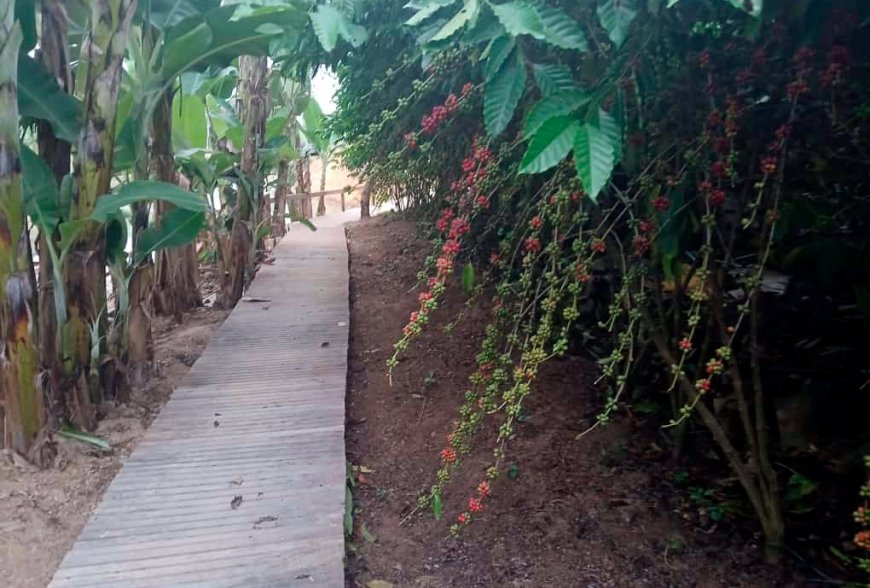 Vitrines tecnológicas destacam técnicas de manejo e cultivo de excelência