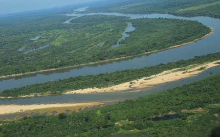 Conscientização e preservação ambiental são destacadas na abertura da Semana do Meio Ambiente