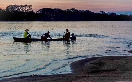 Inscrições para bolsas do Programa Jovem Cientista da Pesca Artesanal encerram domingo, 30
