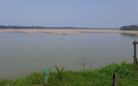 Dados do Governo de RO indicam estado de alerta pela seca do Rio Madeira