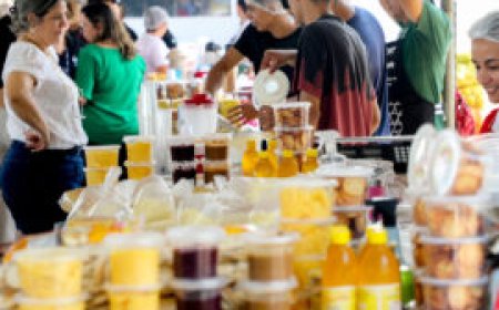 Governo de RO estimula segmento da agroindústria familiar com certificação de qualidade