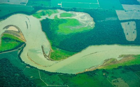 Governo de RO decreta estado de emergência em virtude da seca severa causada pelo El Niño
