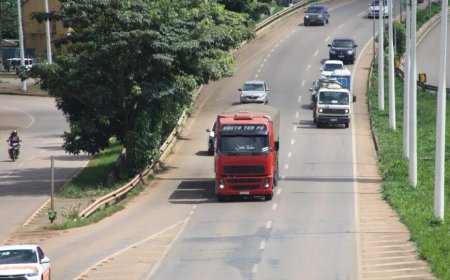 Licenciamento anual para proprietários de veículos com placa final 7 termina dia 31 de julho