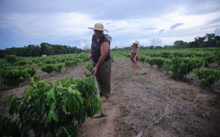 Programa nacional de crédito fundiário garante R$ 4,8 milhões de investimentos na agricultura familiar