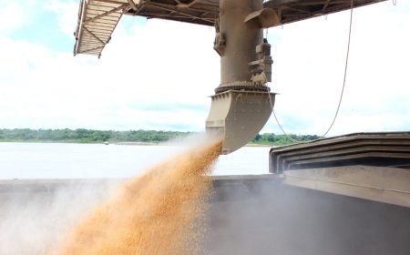 Exportação de soja impulsiona aumento na movimentação de cargas no Porto de Porto Velho