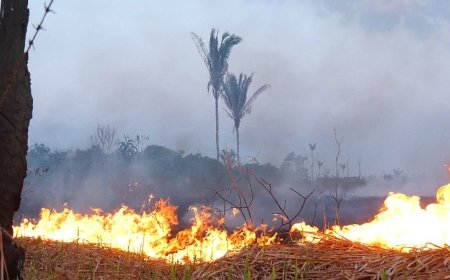 MPRO intensifica ações contra queimadas no interior de Rondônia
