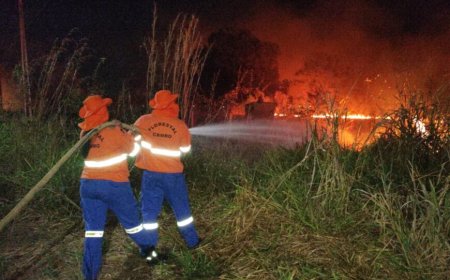 Governo de RO decreta mobilização máxima de combate a incêndios florestais no estado