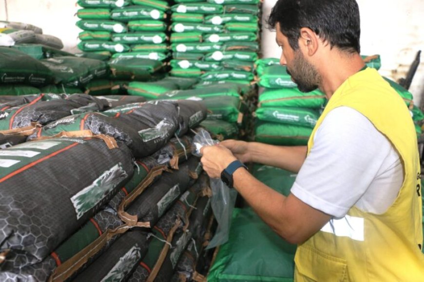 Qualidade das sementes de pastagem que chegam ao comércio impacta atuação da Idaron em Rondônia