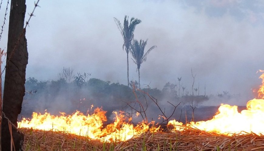 MPRO intensifica ações contra queimadas no interior de Rondônia