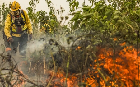 Brasil já registrou mais de 154 mil focos de calor este ano