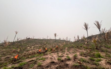 Reforço conjunto das forças de seguranças eliminam grandes focos de incêndios criminosos em Rondônia