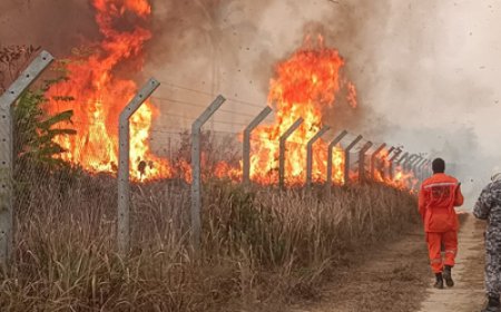 Em ação do MPF, Justiça dá prazo de 72 horas para União se manifestar sobre combate a incêndios florestais em RO