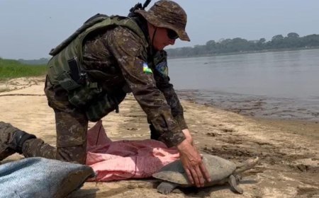 “Operação Águas Seguras” em Rondônia combate crimes nos rios Madeira, Mamoré e Guaporé