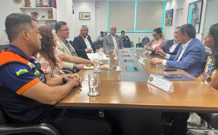 Cooperação entre os governos de RO e federal para combate aos incêndios é evidenciado em reunião