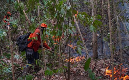 Combate a incêndio é contínuo no Parque Guajará-Mirim e na região Soldado da Borracha, mesmo com dificuldade de acesso