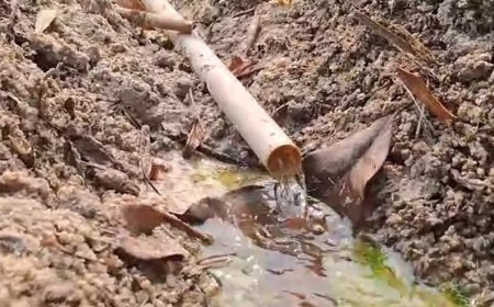 Sustentabilidade hídrica: Emater-RO incentiva produtores rurais na preservação e restauração de nascentes