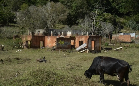 Julgamento de tragédia em Mariana começa nesta segunda no Reino Unido