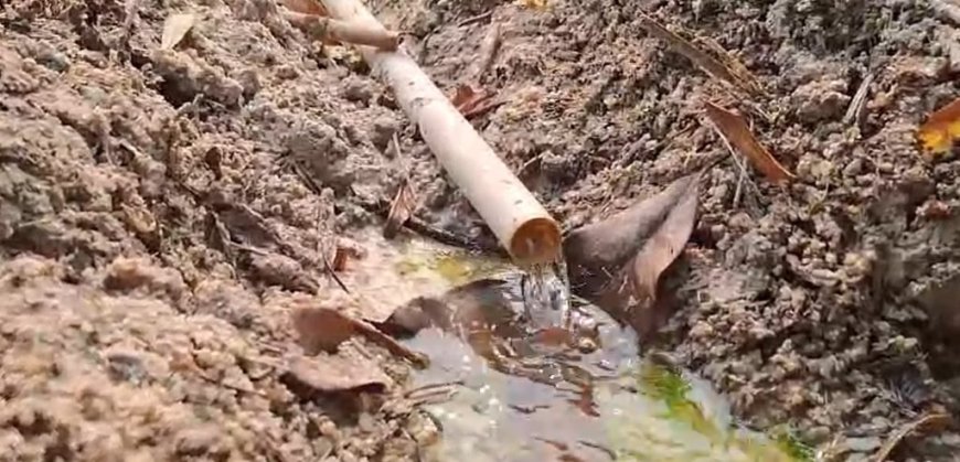 Sustentabilidade hídrica: Emater-RO incentiva produtores rurais na preservação e restauração de nascentes