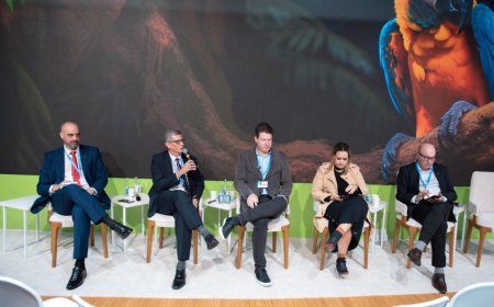 Rondônia participa da COP 29 no Azerbaijão