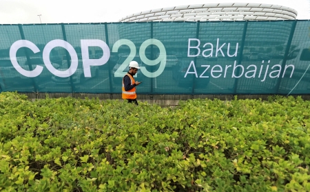 Governo de RO reforça parceria com Noruega para desenvolvimento sustentável e combate ao desmatamento na COP29