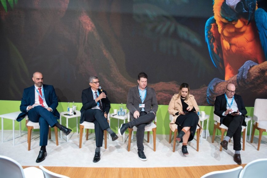 Rondônia participa da COP 29 no Azerbaijão