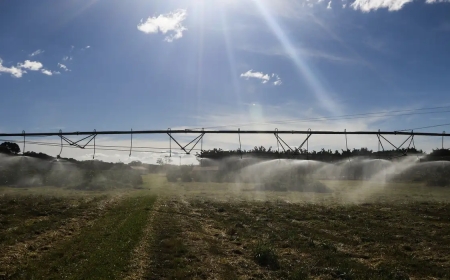 Entenda como ficam as exportações agrícolas após acordo Mercosul-UE