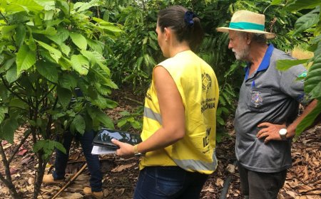 Eficiência e aumento da produtividade do agronegócio são fortalecidos com ações de defesa sanitária agrosilvopastoril
