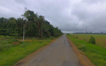 Rodovia-459 sentido Alto Paraíso e Rio Crespo, no Vale do Jamari, é recuperada pelo governo de RO