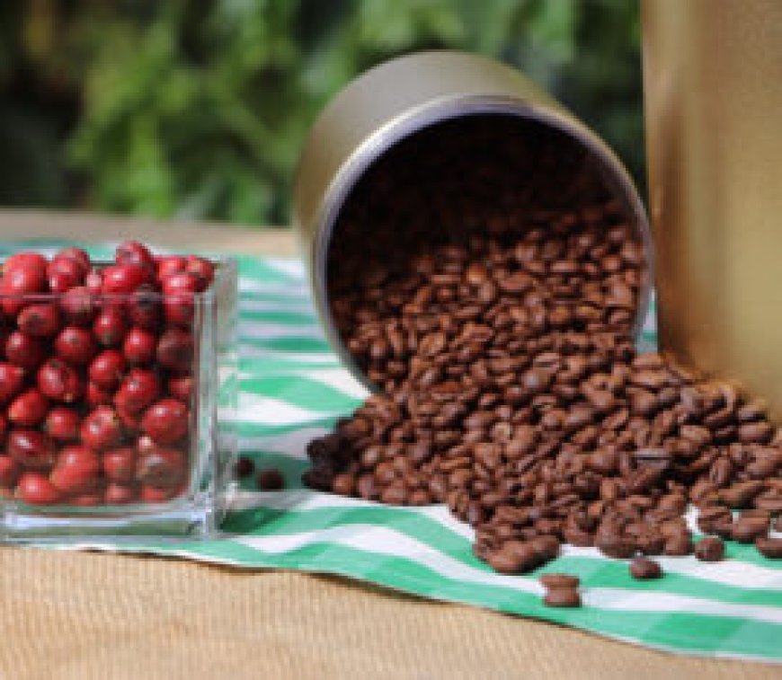 Café de Rondônia ganha destaque em Londres em busca de expansão no mercado global