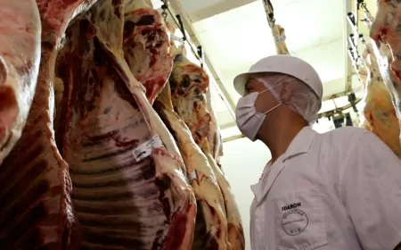 Governo de RO oferece mais de 2 mil vagas de emprego e cursos gratuitos, com chances de inserção no mercado de trabalho