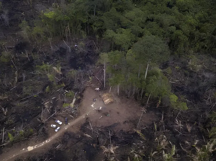PM confirma chacina de 6 pessoas em assentamento da área rural de Porto Velho