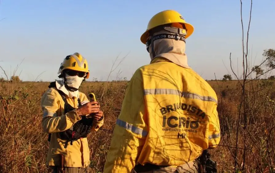 ICMBio abre seleção para agente ambiental temporário em Campo Novo de Rondônia
