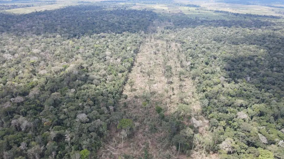Operação Hileia autua 38 pessoas por crimes ambientais em Rondônia