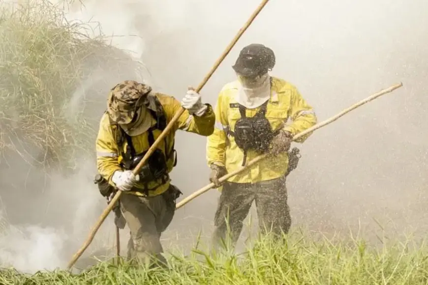 Governo Federal autoriza contratação de brigadistas para combate a incêndios em Rondônia e outros 16 estados
