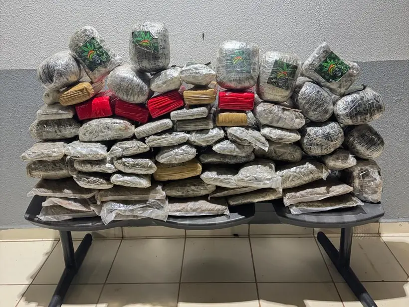 Motociclista abandona carga e PM apreende quase 60 quilos de drogas na BR-364