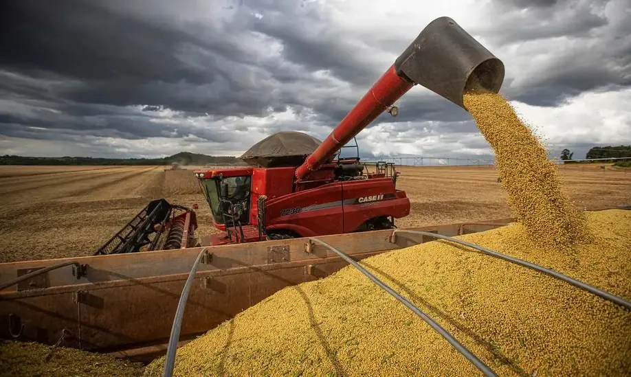 Produção de grãos deve crescer 14% e chegar a 340 milhões de toneladas