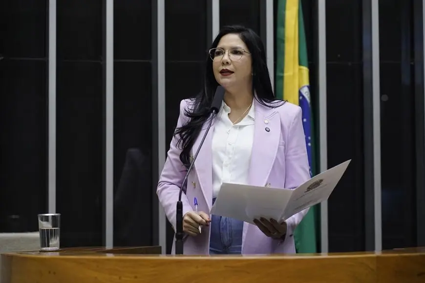 Audiência pública em Brasília discutirá impactos de embargos na Amazônia Legal