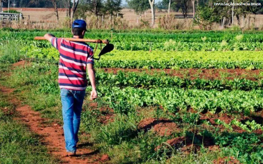 Desenrola Rural registra 313 mil renegociações de dívidas de agricultores