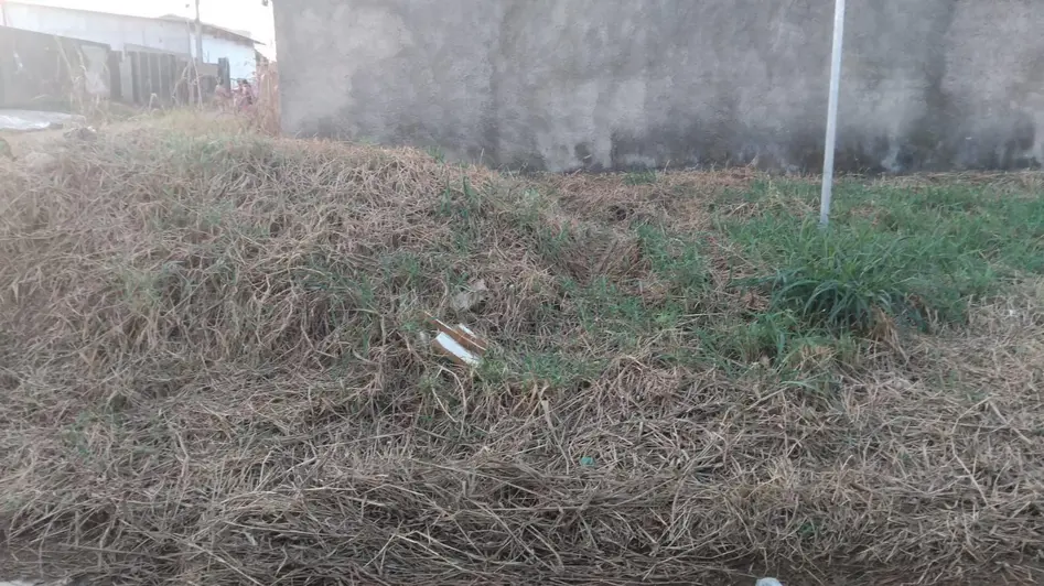 Vereador solicita roçagem urgente em cruzamento de Porto Velho por riscos à saúde