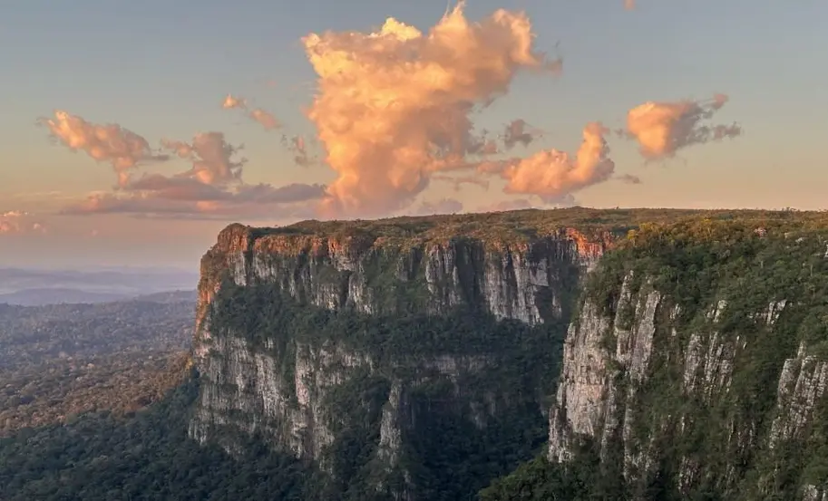 MPF firma acordo para garantir acesso de indígenas à Terra Pacaás Novos