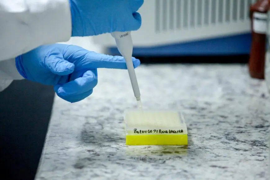 Governo de Rondônia intensifica coleta de DNA de familiares de desaparecidos