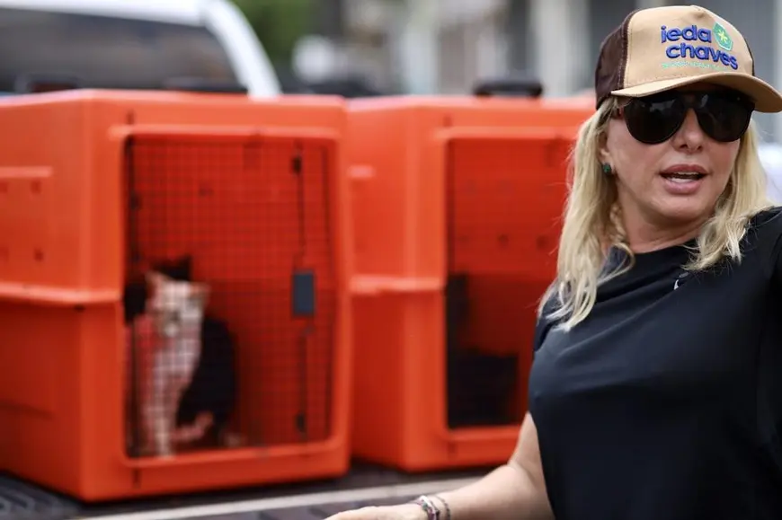 Deputada Ieda Chaves realiza resgate de 42 gatos em Porto Velho